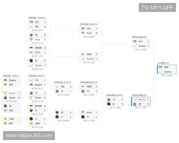 DOTA2深度解析：RNG战队的比赛经验与策略分享