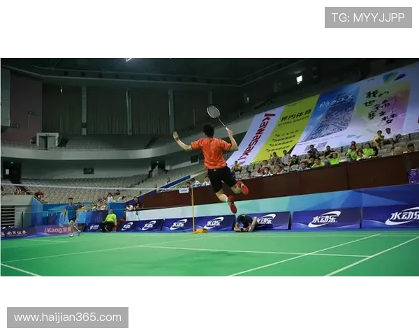 南京羽毛球队技术表现深度分析与数据解读探讨