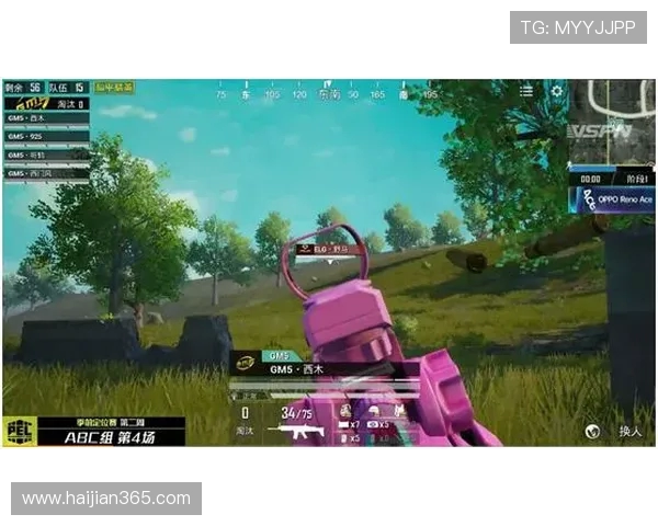 和平精英评论:TES战队运营策略分析与成败经验总结