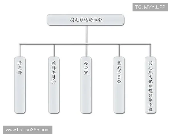 成都羽毛球队的节奏与战术分析探讨羽毛球运动的未来发展方向
