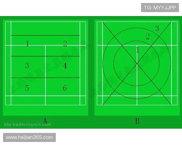 杭州羽毛球队的战术控制与训练策略深度解析