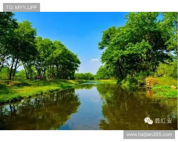 深圳极限运动队的意识探讨与文化传承之路