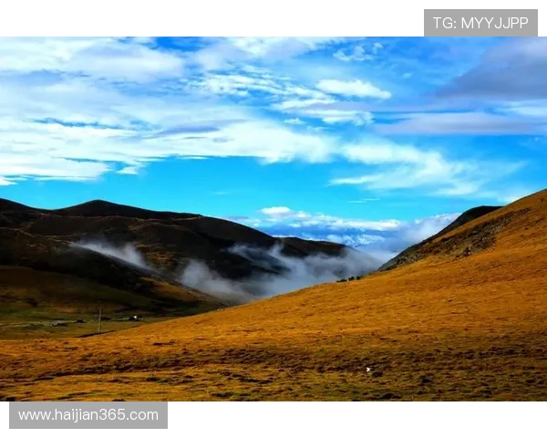焦泊乔的成长之路与人生哲学探讨：从平凡到卓越的心灵旅程