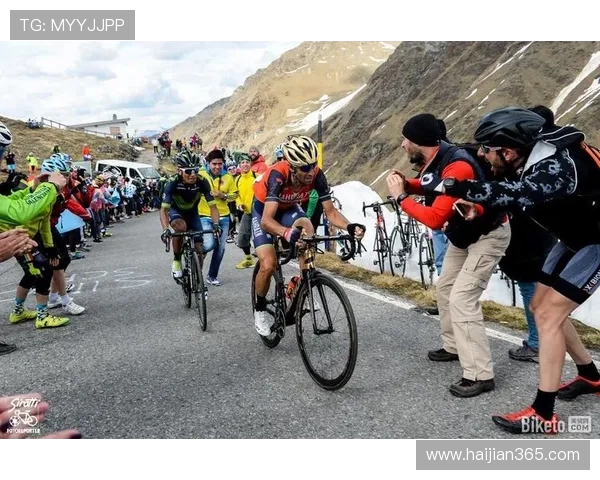 美洲狮与阿特拉斯精彩对决比分揭晓赛况分析与精彩瞬间回顾