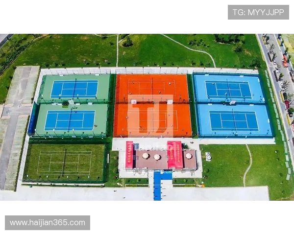 南京网球队引领最新网球技术十强榜单全面解析与展望