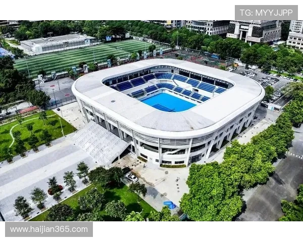 广州网球队在全国网球速度排行榜中荣获第三名的辉煌成就解析