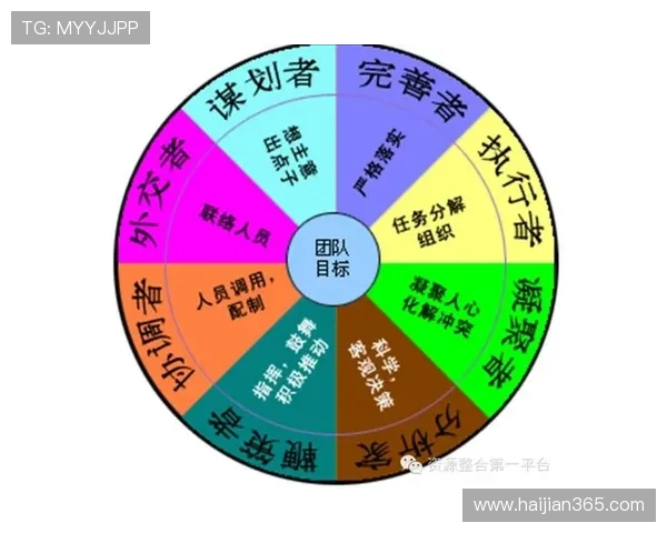 杭州篮球队的崛起与发展探讨聚焦力量与团队合作的关键因素